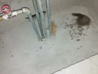 沅陵卫生间测漏水价格明细