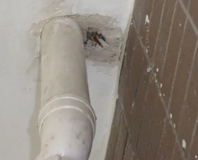 沅陵漏水检测哪家好